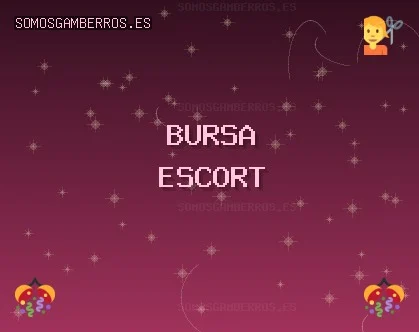 Bursa Escort: İnegöl Escort, Osmangazi Escort, Kestel Escort