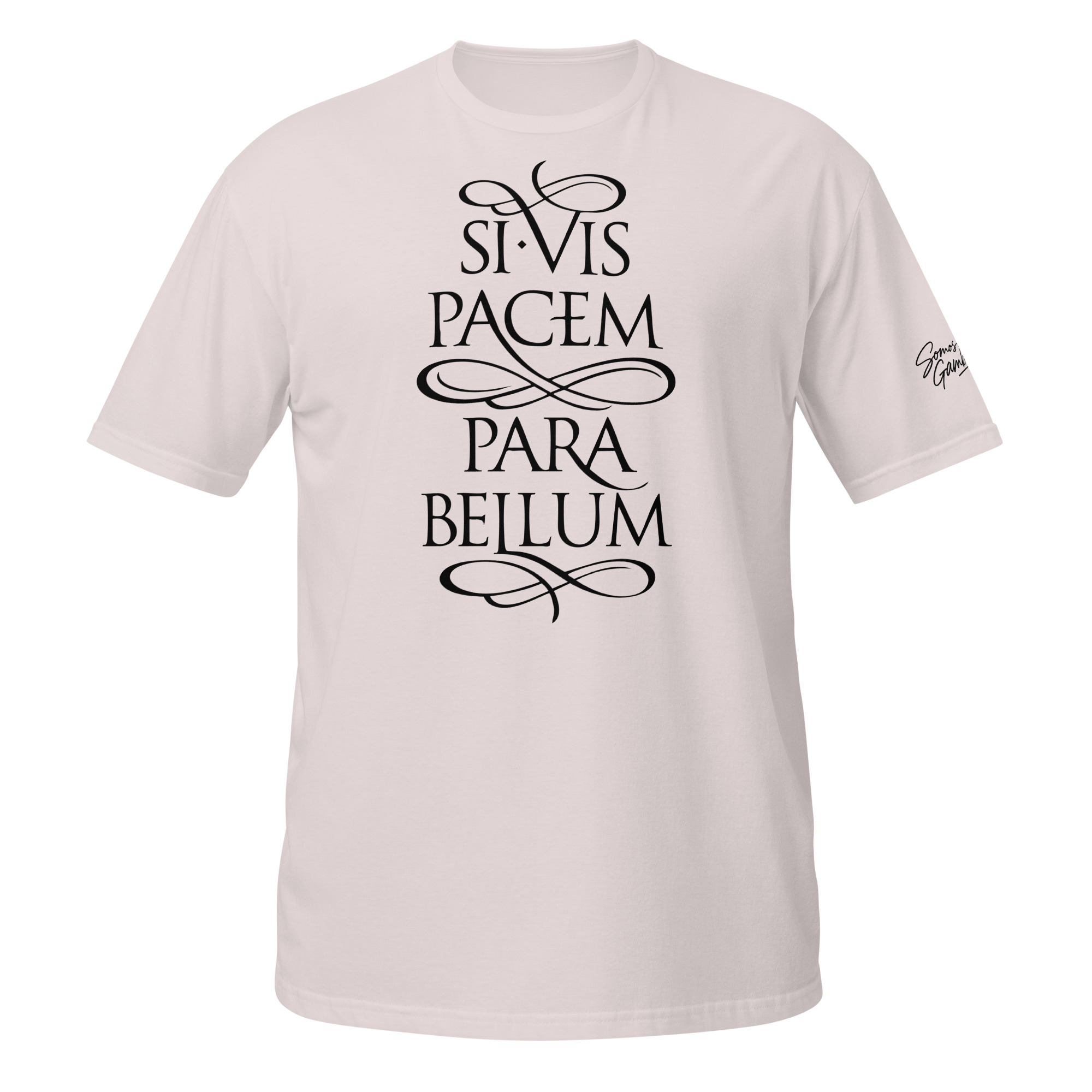 si vis pacem si vis pacem