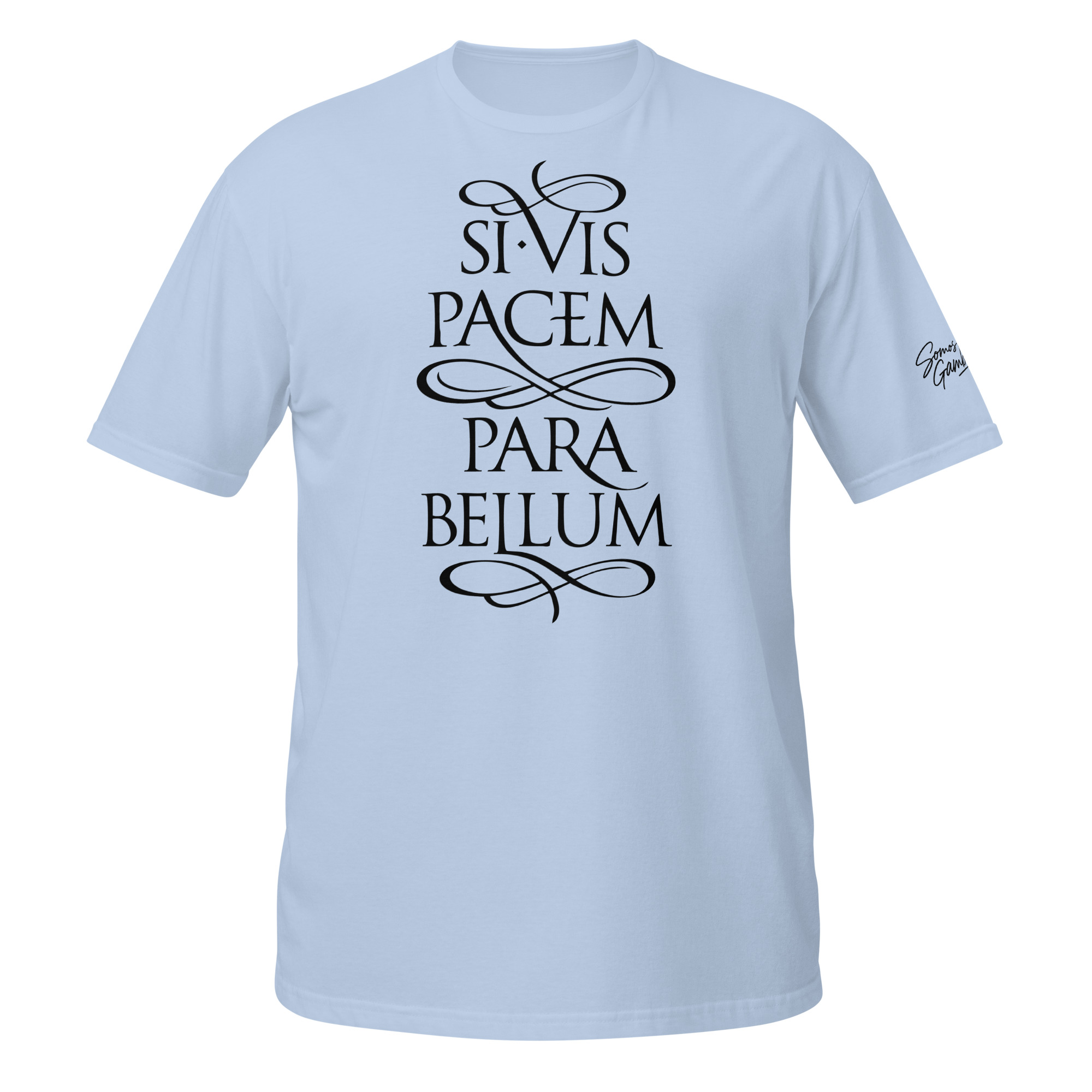 si vis pacem si vis pacem