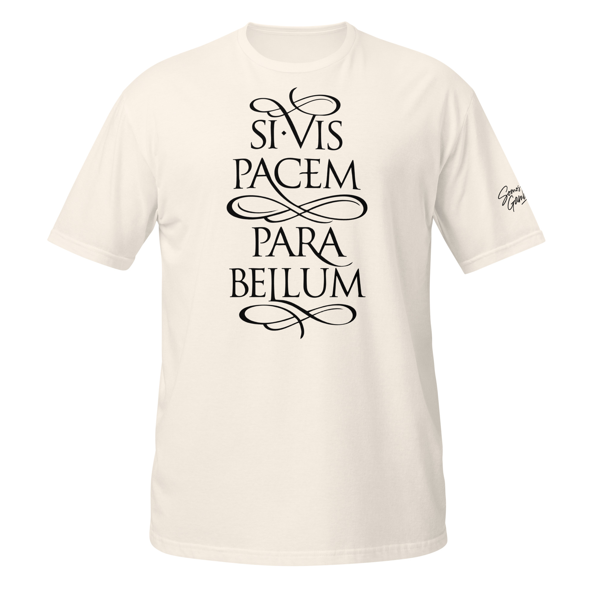 si vis pacem si vis pacem