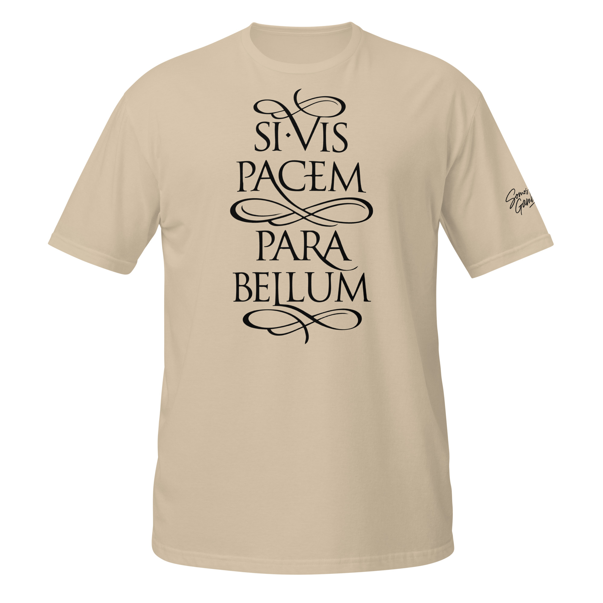 si vis pacem si vis pacem