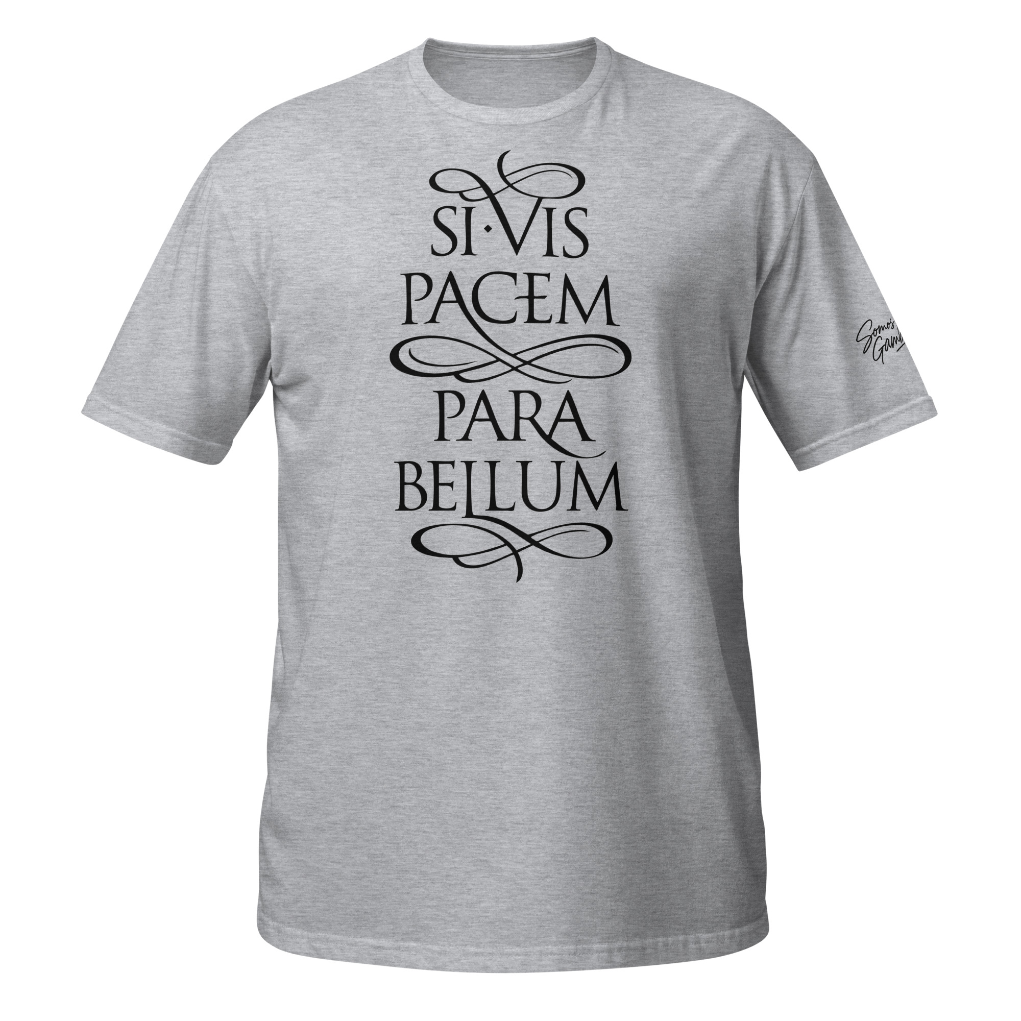 si vis pacem si vis pacem