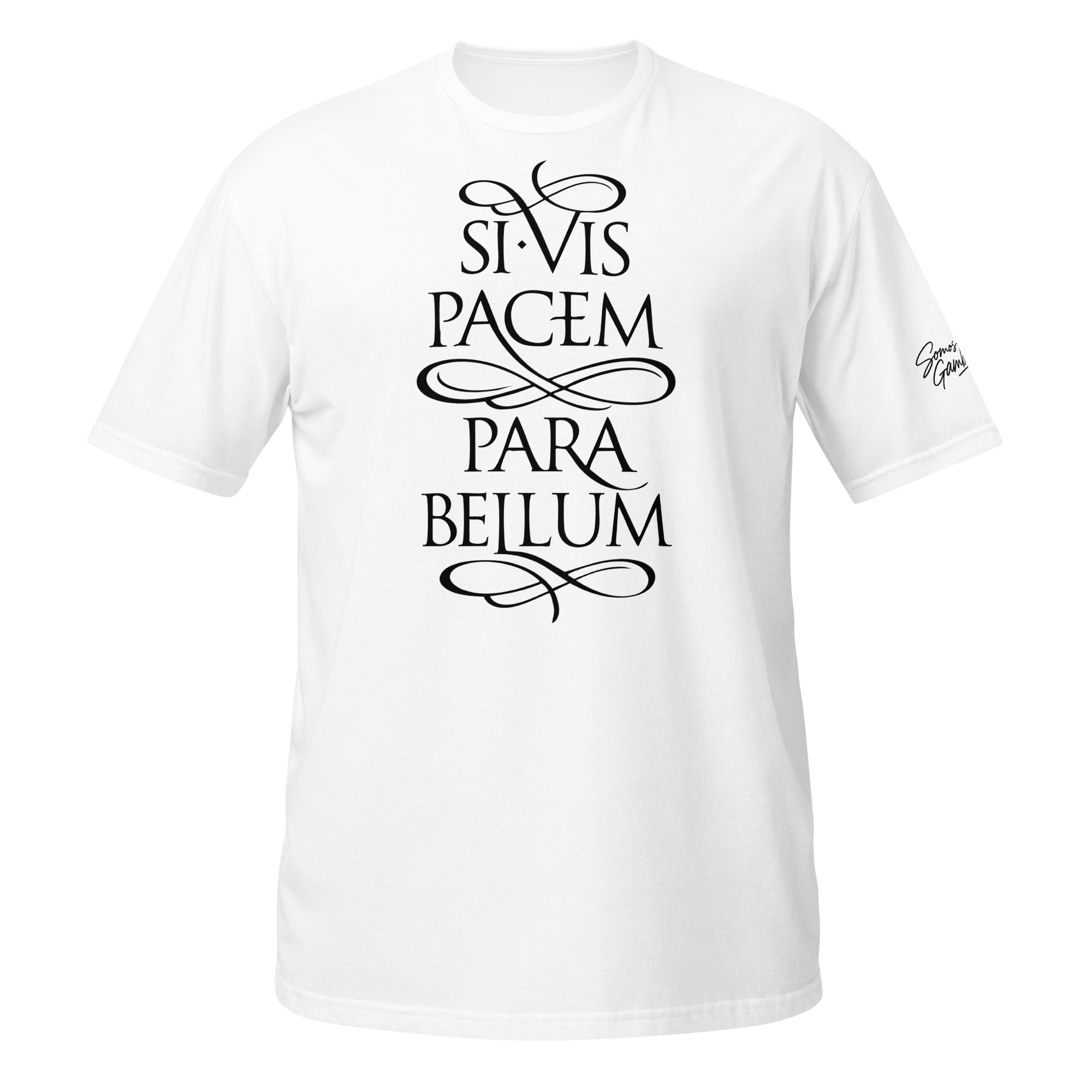 si vis pacem si vis pacem